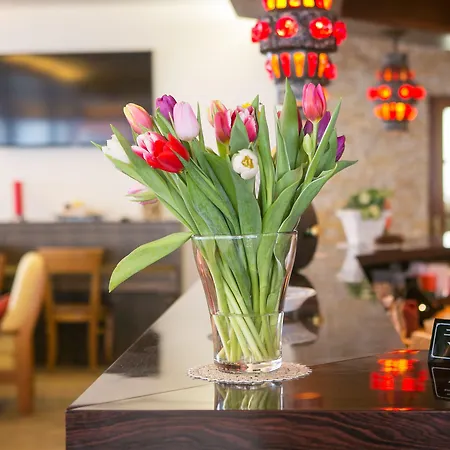 Hotel Mountime Täsch